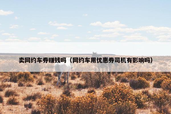 卖网约车券赚钱吗（网约车用优惠券司机有影响吗）