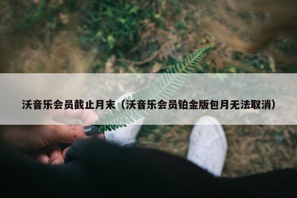 沃音乐会员截止月末（沃音乐会员铂金版包月无法取消）