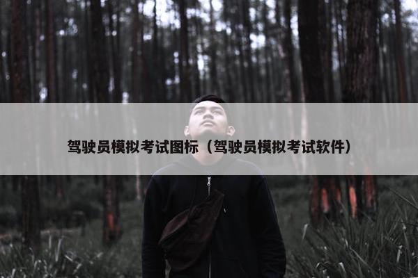 驾驶员模拟考试图标（驾驶员模拟考试软件）