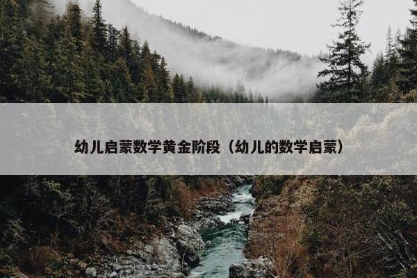 幼儿启蒙数学黄金阶段（幼儿的数学启蒙）