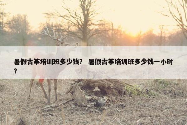 暑假古筝培训班多少钱？ 暑假古筝培训班多少钱一小时？