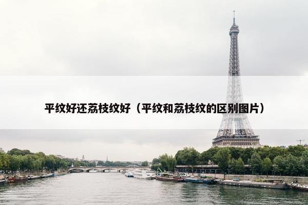 平纹好还荔枝纹好（平纹和荔枝纹的区别图片）