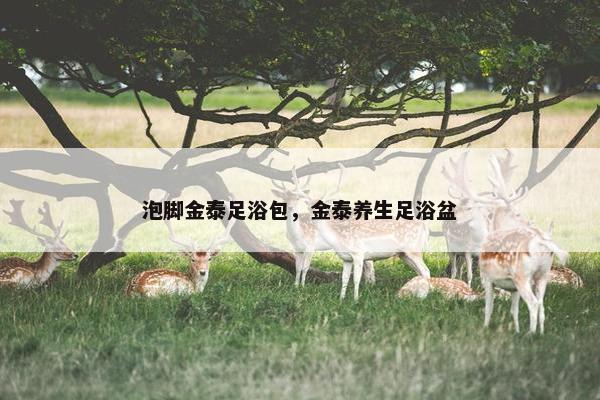 泡脚金泰足浴包，金泰养生足浴盆
