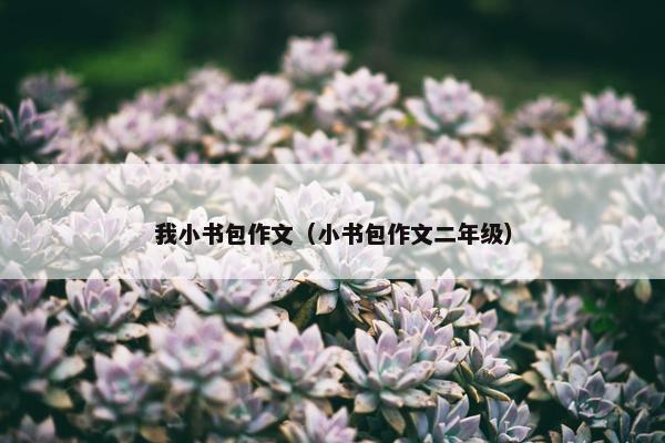 我小书包作文（小书包作文二年级）