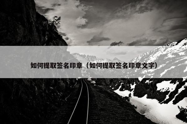 如何提取签名印章（如何提取签名印章文字）