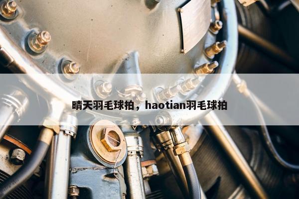 晴天羽毛球拍，haotian羽毛球拍