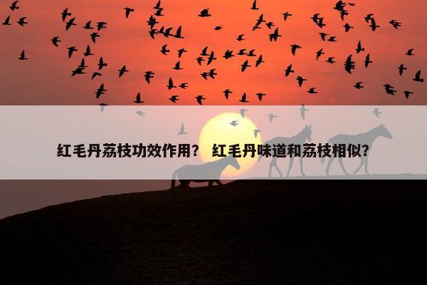 红毛丹荔枝功效作用？ 红毛丹味道和荔枝相似？