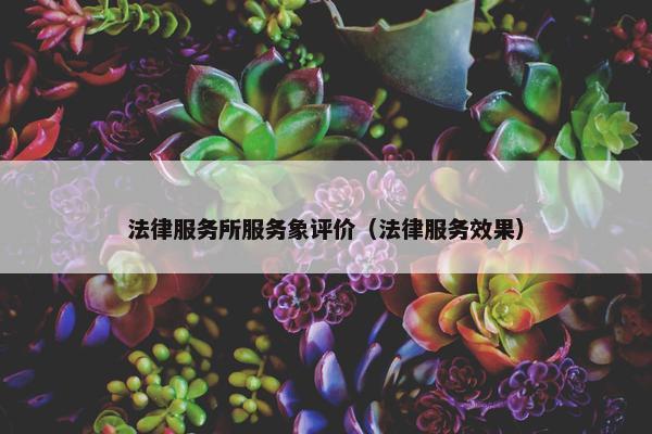 法律服务所服务象评价（法律服务效果）