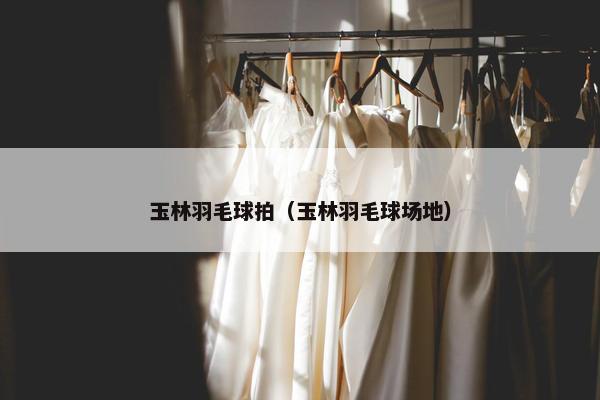 玉林羽毛球拍（玉林羽毛球场地）