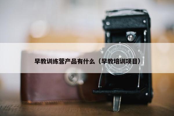 早教训练营产品有什么（早教培训项目）