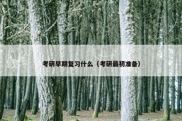 考研早期复习什么（考研最初准备）