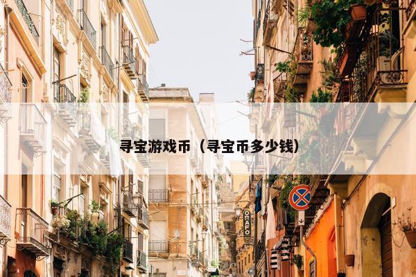 寻宝游戏币（寻宝币多少钱）