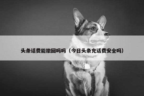 头条话费能撤回吗吗（今日头条充话费安全吗）