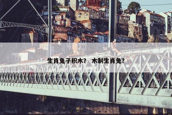 生肖兔子积木？ 木制生肖兔？