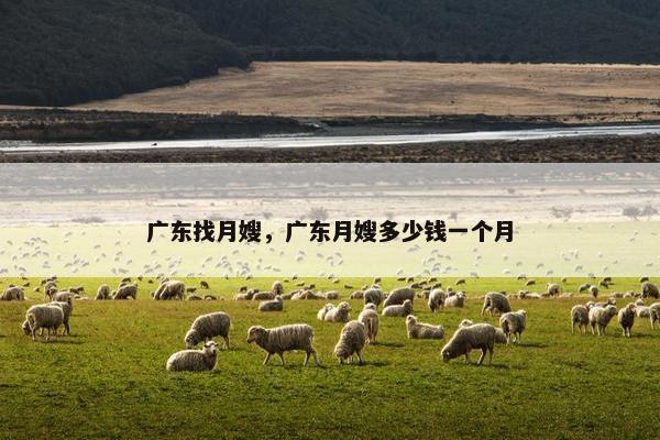 广东找月嫂，广东月嫂多少钱一个月