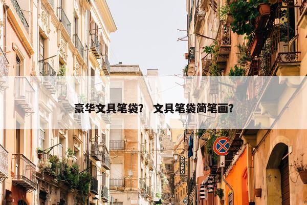 豪华文具笔袋？ 文具笔袋简笔画？