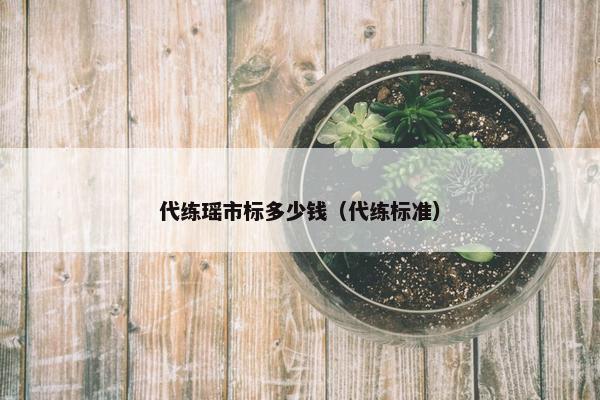 代练瑶市标多少钱（代练标准）