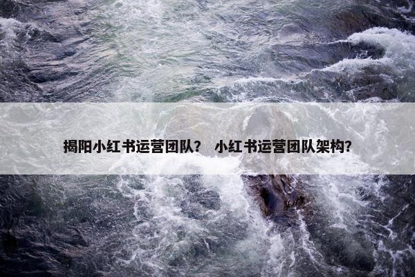 揭阳小红书运营团队？ 小红书运营团队架构？