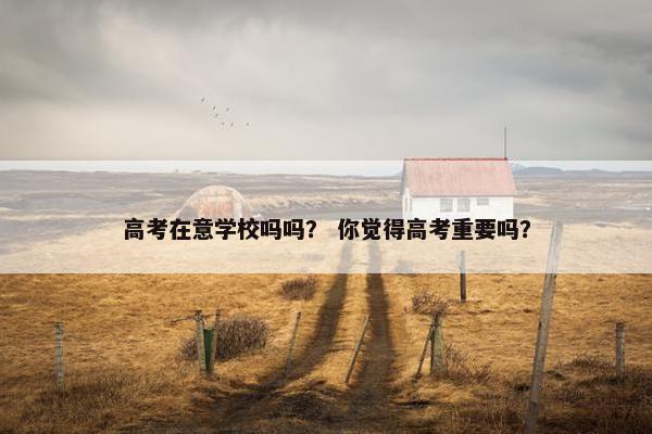 高考在意学校吗吗？ 你觉得高考重要吗？
