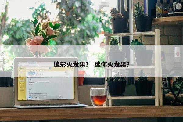 迷彩火龙果？ 迷你火龙果？