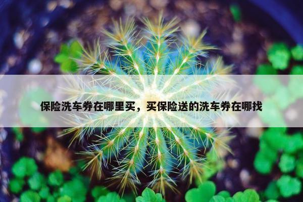 保险洗车券在哪里买，买保险送的洗车券在哪找