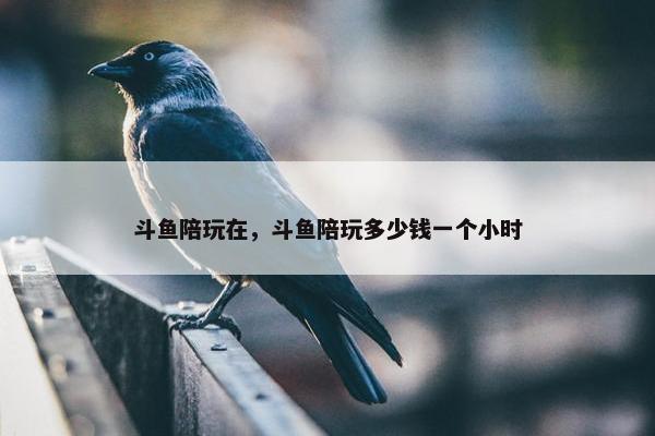 斗鱼陪玩在，斗鱼陪玩多少钱一个小时