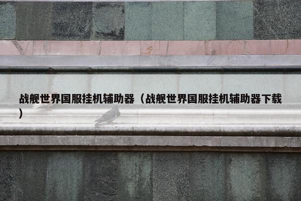 战舰世界国服挂机辅助器（战舰世界国服挂机辅助器下载）