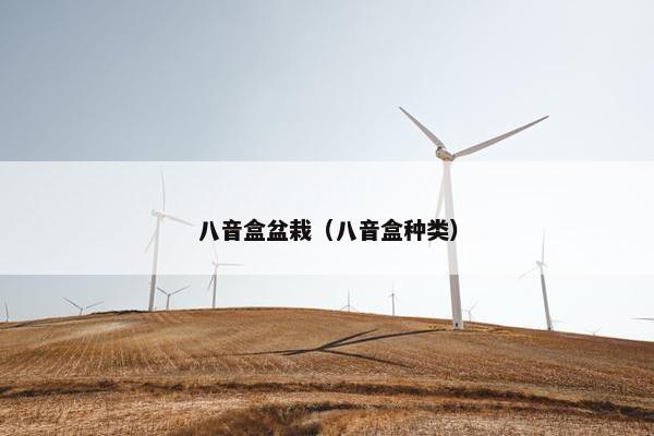 八音盒盆栽（八音盒种类）