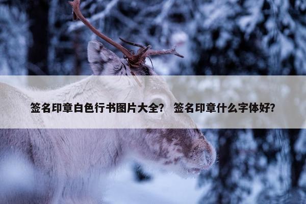 签名印章白色行书图片大全？ 签名印章什么字体好？