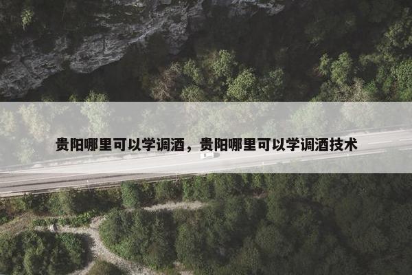 贵阳哪里可以学调酒，贵阳哪里可以学调酒技术
