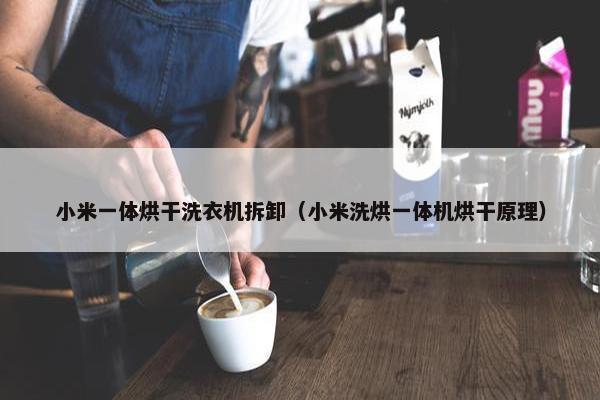 小米一体烘干洗衣机拆卸（小米洗烘一体机烘干原理）