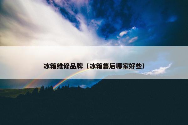 冰箱维修品牌（冰箱售后哪家好些）