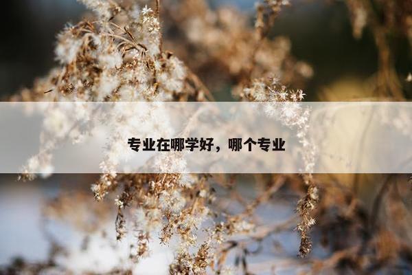 专业在哪学好，哪个专业