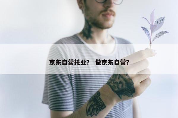 京东自营托业？ 做京东自营？