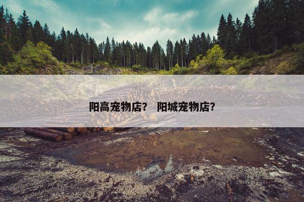 阳高宠物店？ 阳城宠物店？