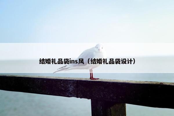 结婚礼品袋ins风（结婚礼品袋设计）