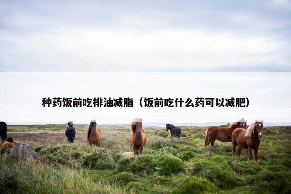 种药饭前吃排油减脂（饭前吃什么药可以减肥）
