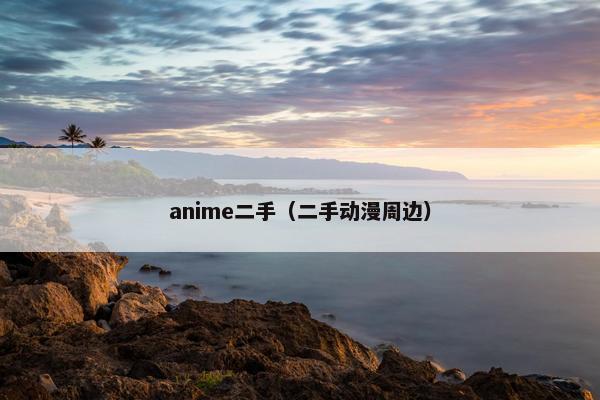 anime二手（二手动漫周边）