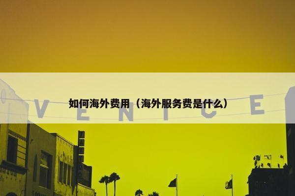 如何海外费用（海外服务费是什么）