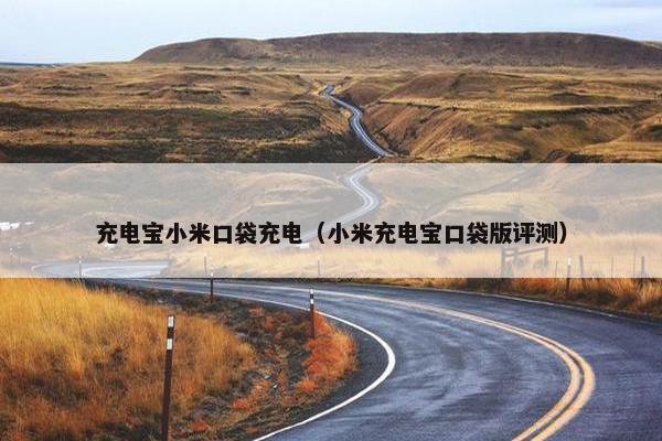 充电宝小米口袋充电（小米充电宝口袋版评测）