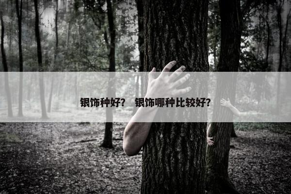 银饰种好？ 银饰哪种比较好？