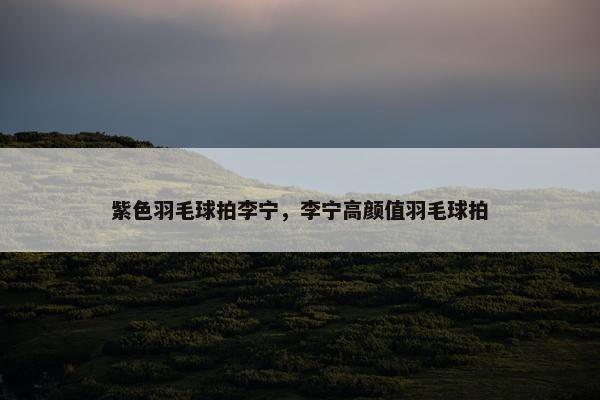 紫色羽毛球拍李宁，李宁高颜值羽毛球拍