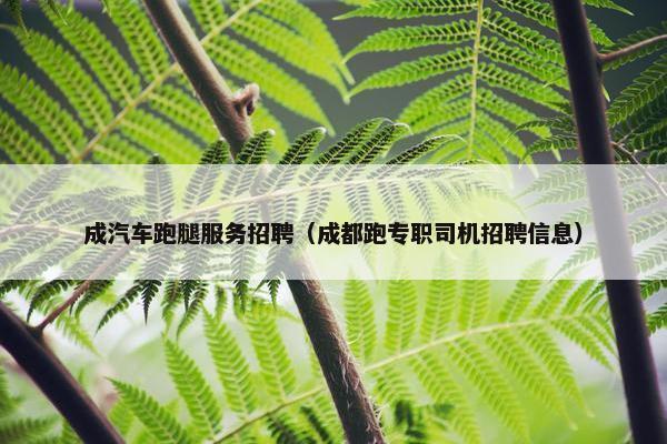 成汽车跑腿服务招聘（成都跑专职司机招聘信息）
