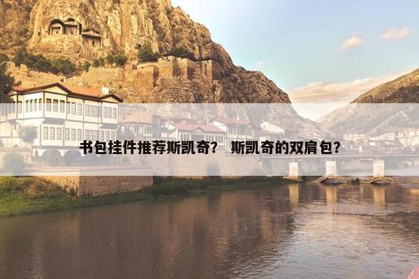 书包挂件推荐斯凯奇？ 斯凯奇的双肩包？