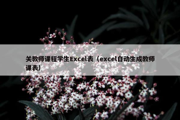 关教师课程学生Excel表（excel自动生成教师课表）