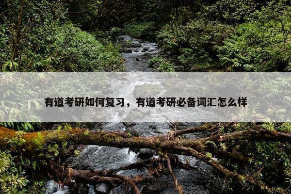 有道考研如何复习，有道考研必备词汇怎么样