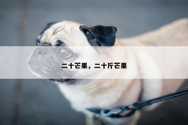 二十芒果，二十斤芒果