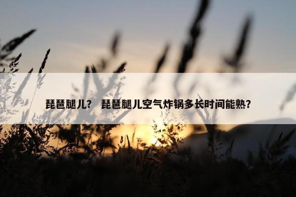琵琶腿儿？ 琵琶腿儿空气炸锅多长时间能熟？