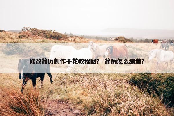 修改简历制作干花教程图？ 简历怎么编造？