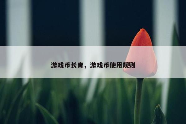 游戏币长青，游戏币使用规则